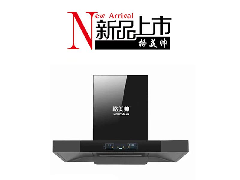 型号T61